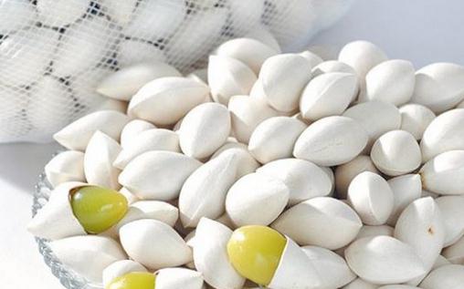 白果可以當零食吃嗎？