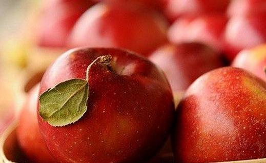 吃什么水果能夠清熱化痰