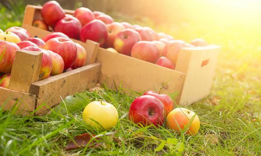 各種疾病的病人適合吃哪些水果