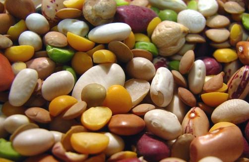 吃點豆子來養生吧！