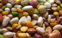 吃點豆子來養生吧！