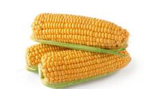 玉米這樣吃最有營養