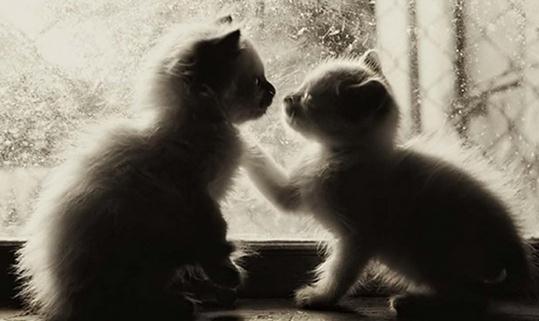 肩并肩的溝通有時會更好