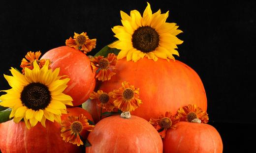 秋季吃南瓜的眾多好處:護心助眠