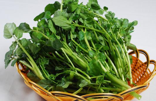 吃西洋菜可以預防癌癥你知道么