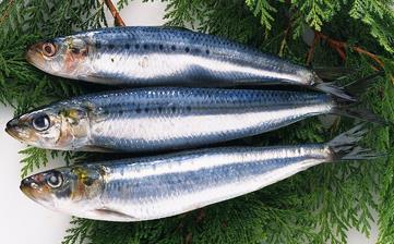 【青魚】_青魚的營養(yǎng)價(jià)值,青魚怎么做好吃,青魚的做法大全 【青魚】_青魚的營養(yǎng)價(jià)值,青魚怎么做好吃,青魚的做法大全