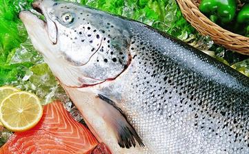 【三文魚】_三文魚的營養價值,三文魚怎么做好吃,三文魚的做法大全