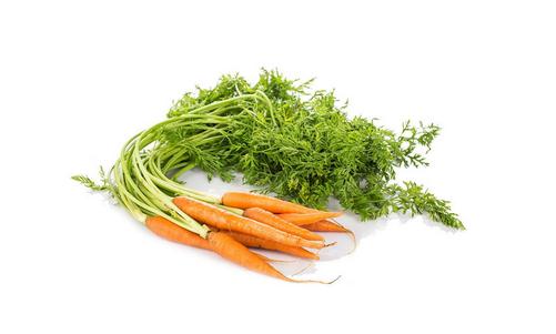 烹調胡蘿卜不放油行不行?