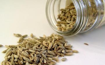 【孜然】_孜然的功效與作用,孜然怎么用,孜然的食用方法,孜然是什么 【孜然】_孜然的功效與作用,孜然怎么用,孜然的食用方法,孜然是什么