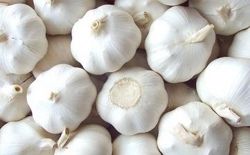 【大蒜】_大蒜的功效與作用,吃大蒜的好處和壞處,大蒜的食用方法 【大蒜】_大蒜的功效與作用,吃大蒜的好處和壞處,大蒜的食用方法
