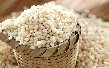 【高粱米】_營養(yǎng)價值,功效與作用,怎么吃,做法,適用人群,食用禁忌 【高粱米】_營養(yǎng)價值,功效與作用,怎么吃,做法,適用人群,食用禁忌