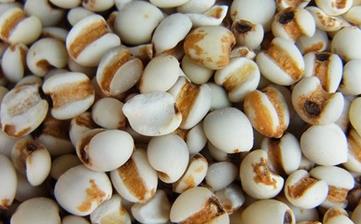 【薏米】_營養價值,功效與作用,怎么吃,做法,適用人群,食用禁忌 【薏米】_營養價值,功效與作用,怎么吃,做法,適用人群,食用禁忌