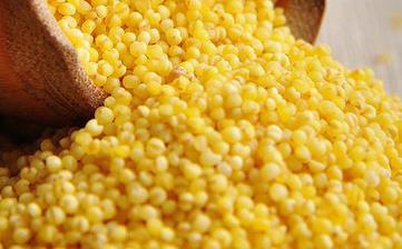 【小米】_營養(yǎng)價值,功效與作用,怎么吃,做法,適用人群,食用禁忌