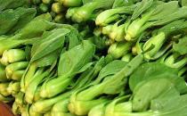 小白菜、大白菜、娃娃菜哪個最有營養？