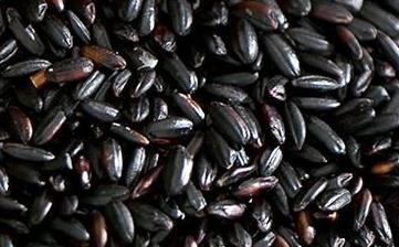 【黑米】_營(yíng)養(yǎng)價(jià)值,功效與作用,怎么吃,做法大全,適用人群,食用禁忌 【黑米】_營(yíng)養(yǎng)價(jià)值,功效與作用,怎么吃,做法大全,適用人群,食用禁忌