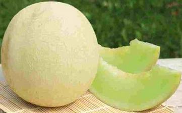 【白蘭瓜】_白蘭瓜的功效與作用,白蘭瓜上火嗎,白蘭瓜怎么吃 【白蘭瓜】_白蘭瓜的功效與作用,白蘭瓜上火嗎,白蘭瓜怎么吃