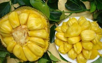 【菠蘿蜜】_菠蘿蜜的功效與作用,菠蘿蜜上火嗎,菠蘿蜜怎么吃