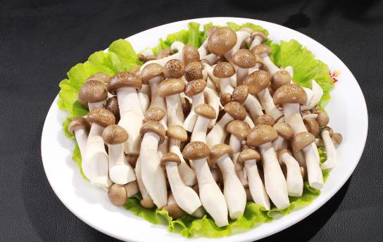 鮮味會讓人胃口更好嗎?