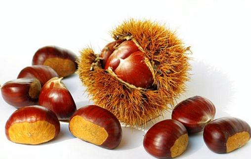 板栗如何保存?板栗的做法