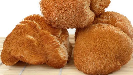 咸鮮味美的猴蘑牛頭方怎么做？