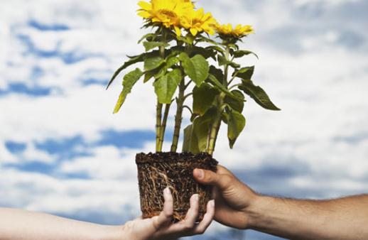 鄰里關系好會給我們帶來哪些好處？