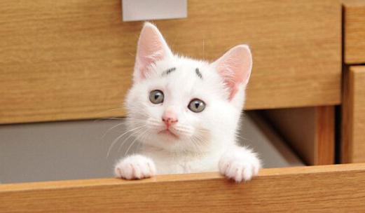 頭痛也會增加自殺風險?