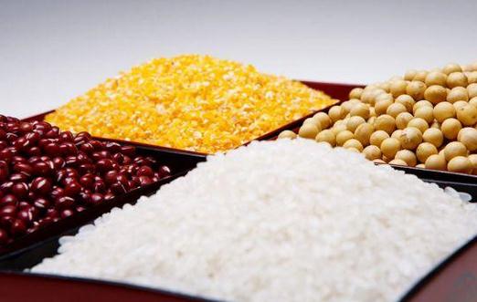 4款食物保護(hù)腸道