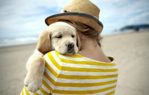 養(yǎng)寵物能夠克服孤獨感