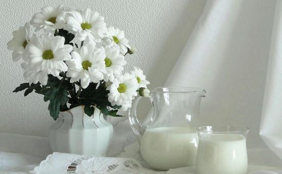 什么食物能夠預防骨質疏松