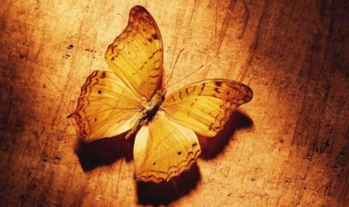 如何與多疑的人相處