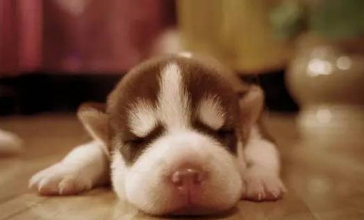 抑郁癥最常見(jiàn)9個(gè)征兆