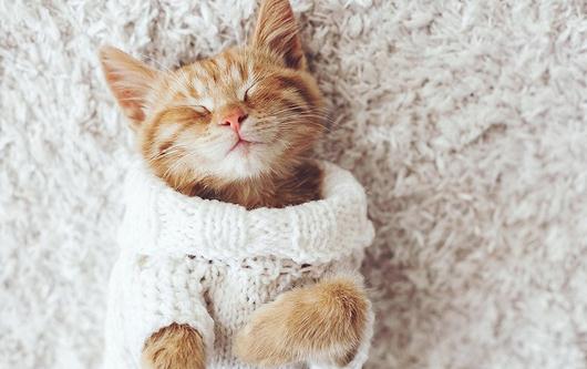 如何解決拖延癥?