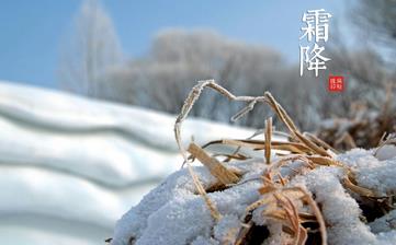 【霜降節(jié)氣】霜降是幾月幾日_霜降吃什么_霜降養(yǎng)生_霜降是什么意思 【霜降節(jié)氣】霜降是幾月幾日_霜降吃什么_霜降養(yǎng)生_霜降是什么意思