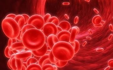 【貧血】貧血癥狀_貧血的危害_貧血原因_貧血怎么治療_貧血吃什么 【貧血】貧血癥狀_貧血的危害_貧血原因_貧血怎么治療_貧血吃什么