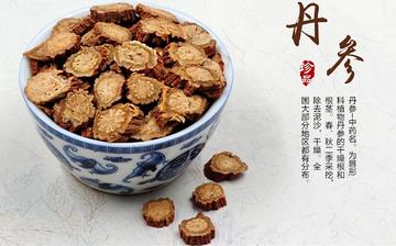 【丹參】丹參的功效與作用_丹參片的功效_丹參的藥用價值和副作用