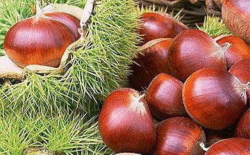 【板栗】板栗怎么去皮_板栗的功效與作用_板栗的營養價值_糖炒栗子 【板栗】板栗怎么去皮_板栗的功效與作用_板栗的營養價值_糖炒栗子