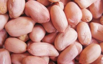 【花生米】花生米的功效與作用_吃花生會胖嗎_醋泡花生_油炸花生米 【花生米】花生米的功效與作用_吃花生會胖嗎_醋泡花生_油炸花生米