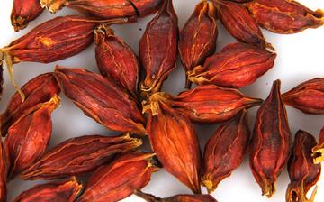 【梔子】中藥材梔子的功效與作用_梔子的藥用價值_梔子的副作用 【梔子】中藥材梔子的功效與作用_梔子的藥用價值_梔子的副作用