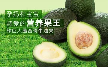 【鱷梨/牛油果】鱷梨的功效與作用_鱷梨上火嗎_鱷梨怎么吃_鱷梨是什么