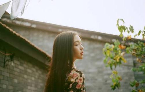 盤(pán)點(diǎn)能夠治療婦科疾病的中草藥