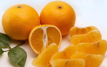 【胡柚】胡柚的功效與作用_胡柚上火嗎_胡柚怎么吃_胡柚是什么 【胡柚】胡柚的功效與作用_胡柚上火嗎_胡柚怎么吃_胡柚是什么