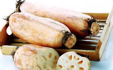 【藕】藕的營養價值_蓮藕的功效與作用_藕怎么做好吃_藕的做法大全