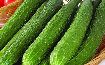 【黃瓜】黃瓜的營養價值_黃瓜怎么做好吃_黃瓜的做法大全_黃瓜食用禁忌