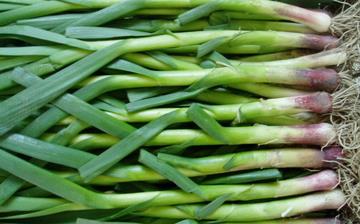 【蒜苗】蒜苗的營養(yǎng)價值_蒜苗怎么做好吃_蒜苗的做法大全_孕婦能吃蒜苗嗎