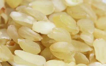 【雪蓮子】雪蓮子的功效與作用_雪蓮子上火嗎_雪蓮子怎么吃_雪蓮子是什么 【雪蓮子】雪蓮子的功效與作用_雪蓮子上火嗎_雪蓮子怎么吃_雪蓮子是什么