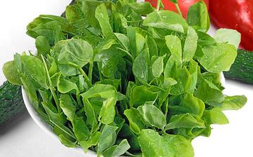 【豆苗】豆苗的營養(yǎng)價值_豆苗怎么做好吃_豆苗的做法大全 【豆苗】豆苗的營養(yǎng)價值_豆苗怎么做好吃_豆苗的做法大全