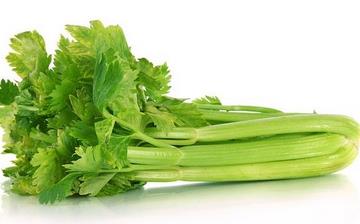 【西芹】西芹的營養價值_西芹怎么做好吃_西芹的做法大全