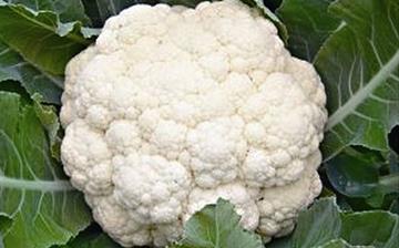 【菜花】花椰菜_花菜_菜花的營養價值_菜花怎么做好吃_菜花的做法大全 【菜花】花椰菜_花菜_菜花的營養價值_菜花怎么做好吃_菜花的做法大全