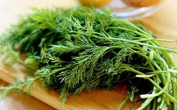 【茴香】茴香的營養價值_茴香怎么做好吃_茴香的做法大全_孕婦能吃茴香嗎 【茴香】茴香的營養價值_茴香怎么做好吃_茴香的做法大全_孕婦能吃茴香嗎