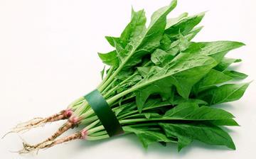 【菠菜】菠菜的營養(yǎng)價值_菠菜不能和什么一起吃_菠菜的做法大全 【菠菜】菠菜的營養(yǎng)價值_菠菜不能和什么一起吃_菠菜的做法大全